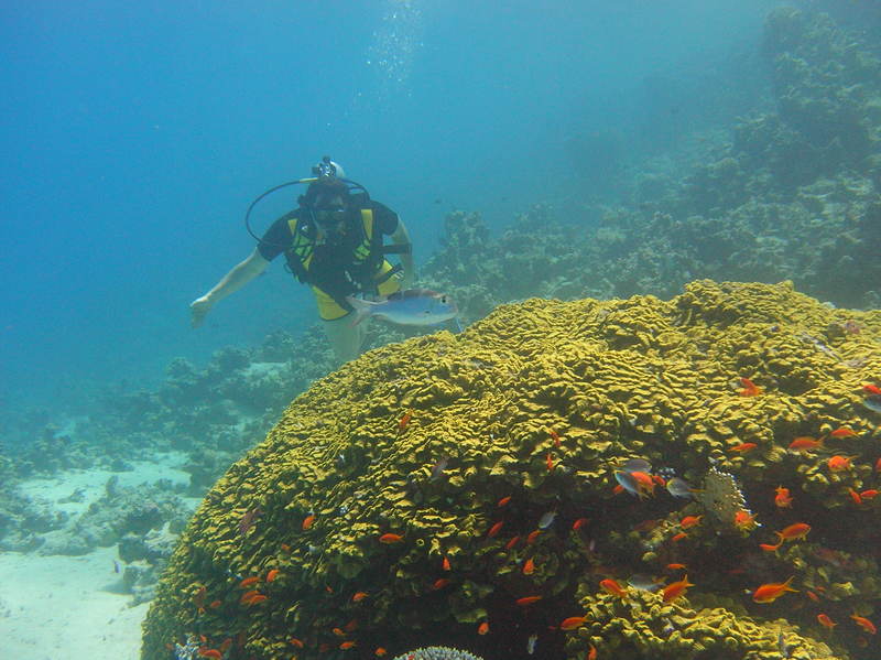 red sea_076.jpg